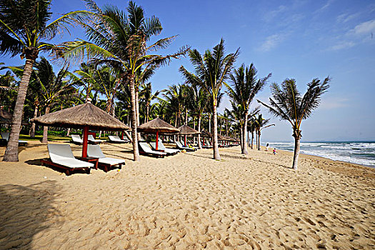 沙滩,椰林