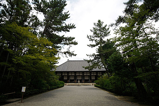 日本,奈良,唐招提寺