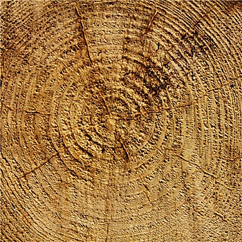 木头,岁月,圆