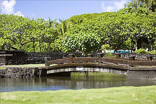 桥,河,公园,花园,夏威夷,美国