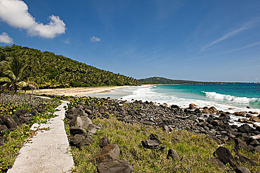 海滩,椰树,大,玉米,岛屿,加勒比海,尼加拉瓜,中美洲