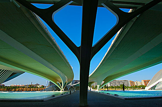 桥,艺术和科学之城,瓦伦西亚,西班牙,欧洲