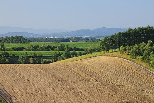 乡村风光