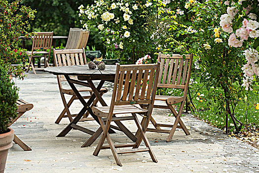 木桌子,椅子,玫瑰园