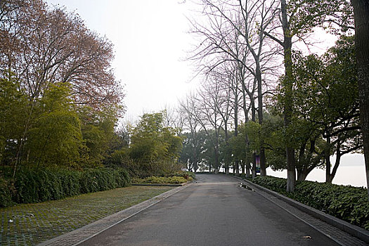 江苏南京公路