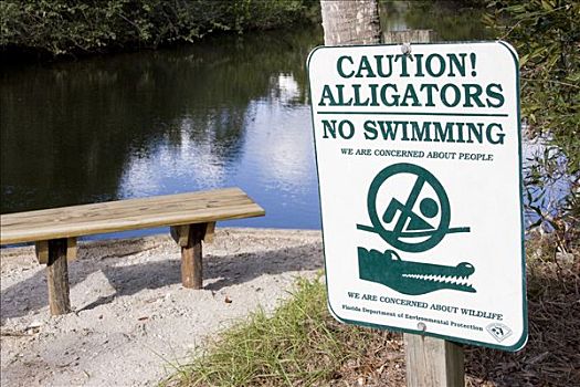 警告标识,鳄鱼,禁止游泳,古迹,州立公园,佛罗里达,美国