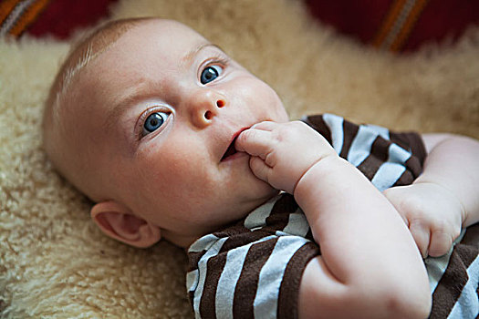 男婴,高兴,慵懒,手指,嘴,多伦多,安大略省,加拿大
