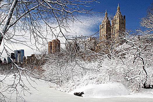 冬天,暴风雪,中央公园,背景