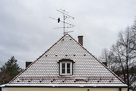 房子,屋顶,朴素,砖瓦,雪,冬天,慕尼黑,上巴伐利亚,巴伐利亚,德国,欧洲