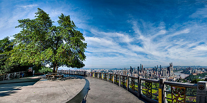 2024年重庆市南岸区南山一棵树风景区观景台