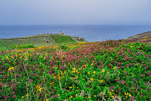 海岸