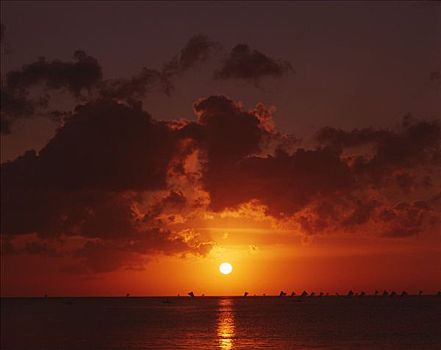 日落,上方,水,海洋,巴厘岛,印度尼西亚