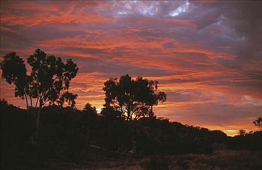日落,上方,彩虹,山谷,乌云,红色,中心,北领地州,澳大利亚