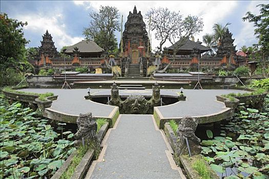 莲花池,庙宇,巴厘岛,印度尼西亚
