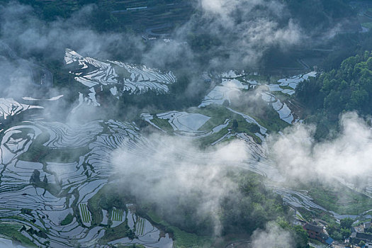 重庆市酉阳花田灌水梯田云雾缭绕风景如画