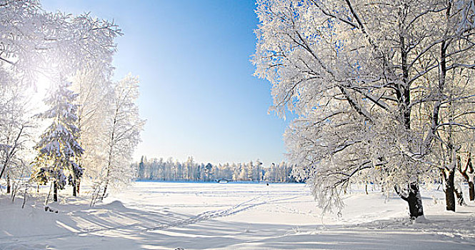 冬天,公园,全景