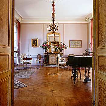 打开,一对,门,音乐,房间,家,大钢琴,收集,路易十六,椅子,拍卖