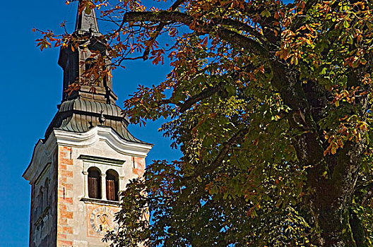 教堂钟,塔,后面,树,小,岛屿,布莱德湖,斯洛文尼亚