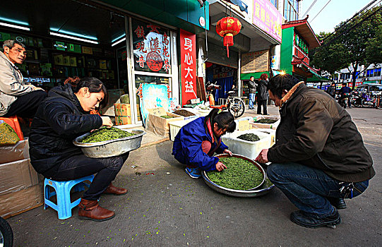 宁波,金钟茶城,茶叶,市场
