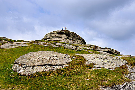 石头,达特姆尔高原,国家公园,德文郡,英格兰,英国