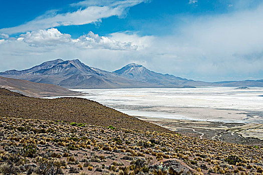 盐湖,自然遗产,区域,北方,智利,南美