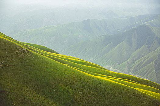 新疆昌吉将布拉提大草原