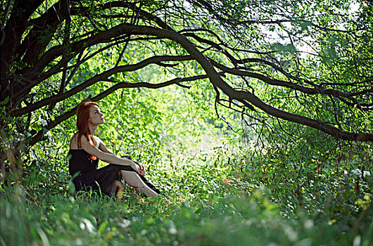 红发,坐,女人,树