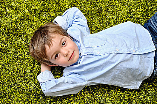 男孩,躺着,绿色,地毯
