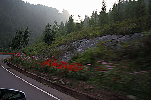 山区,模糊,动感,素材,岩石