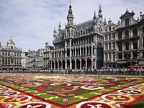 花坛,大广场,布鲁塞尔,比利时,欧洲