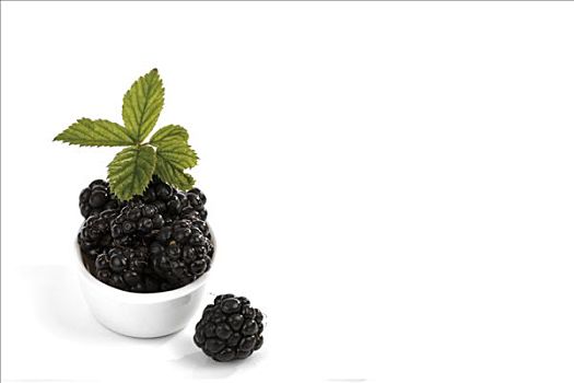黑莓,悬钩子属植物,叶子,大,勺子