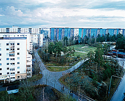 城市,道路,俯视图