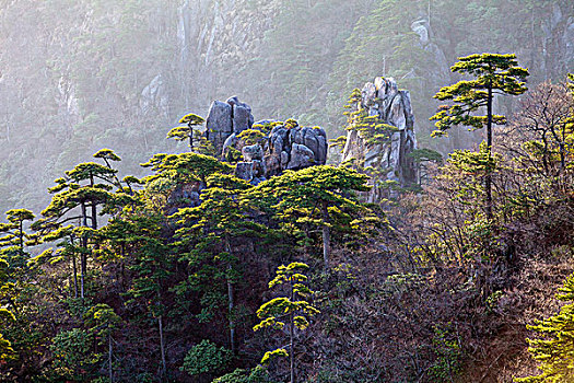 黄山,自然风光