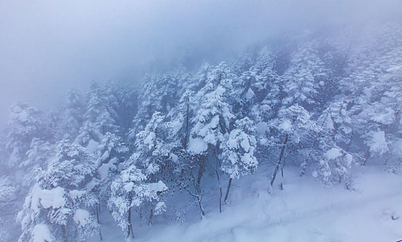 西岭雪山大雪的美丽风景