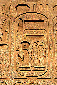 埃及,象形文字,文字,方尖塔,拉美西斯二世,特写,卢克索神庙,第十九王朝,埃及新王国,古老,底比斯