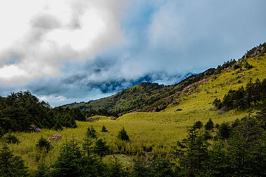 神农架,神农顶,风景,景点,旅游,高山,瀑布,河流,神秘,树木,植被,石头,鄂西,云海,峡谷,壮观