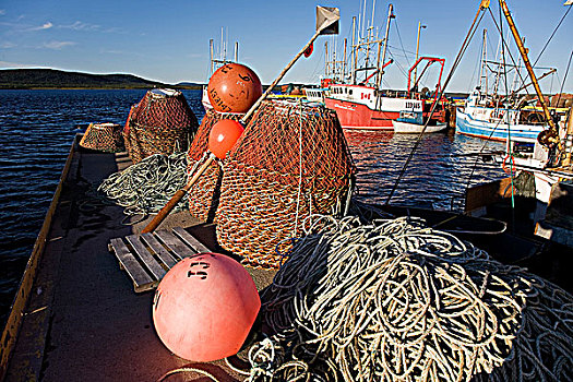 渔网,螃蟹,陷阱,码头,三明治,湾,拉布拉多犬,纽芬兰,加拿大