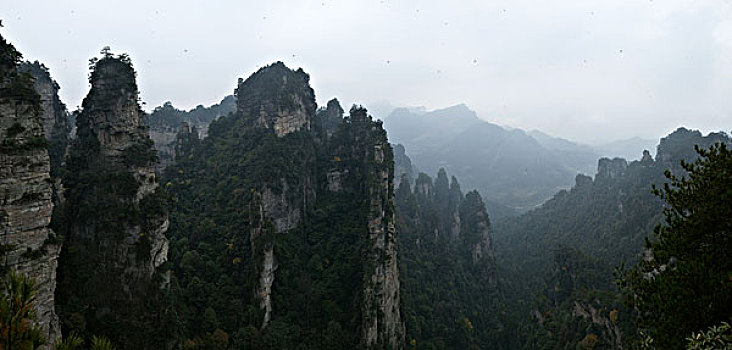 湖南张家界天子山国家森林公园