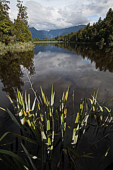 马瑟森湖lake,matheson