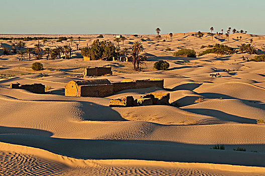 北非,突尼斯,省,困住,沙子