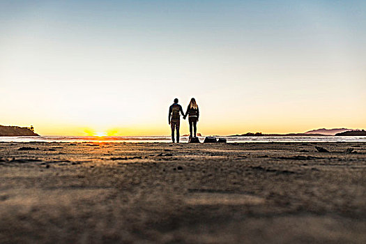 情侣,看,日落,长滩,环太平洋国家公园,温哥华岛,不列颠哥伦比亚省,加拿大