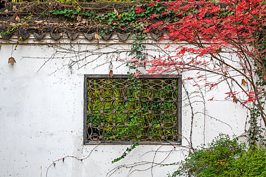 红枫白墙黛瓦漏花窗园林景观,南京清凉山公园