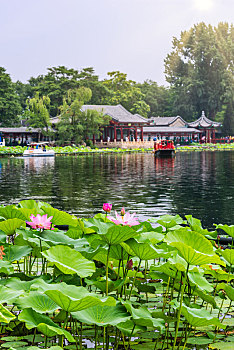 北京什刹海公园的荷花池园林建筑