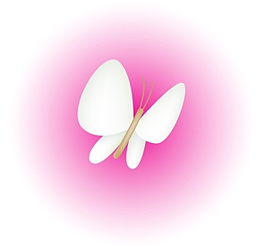白色,蝴蝶,粉色背景