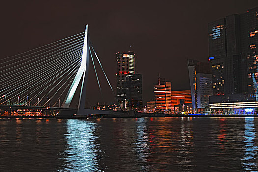 鹿特丹,天际线,桥,荷兰