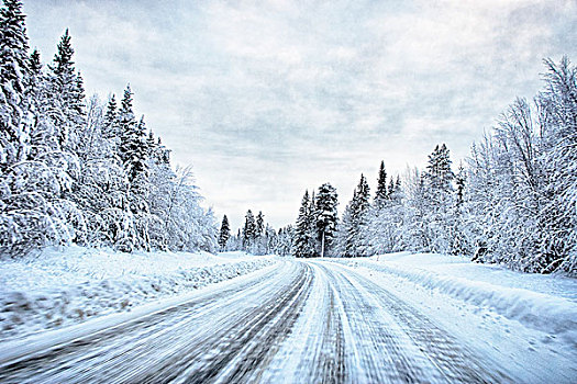 风景,积雪,树林,公路,瑞典