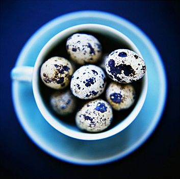 蛋,蓝色,茶杯