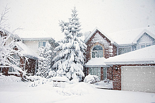 重,下雪,住宅区,艾伯塔省,加拿大