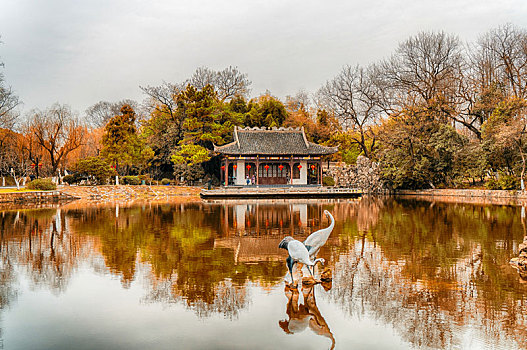 南京,莫愁湖,公园