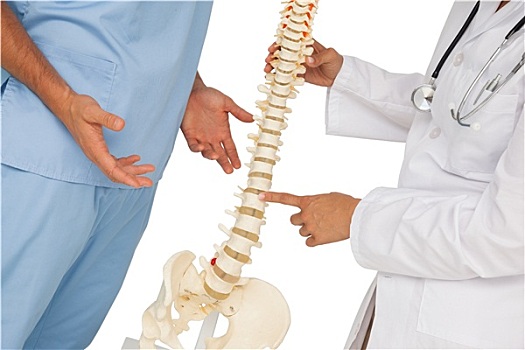 腰部,两个,医生,讨论,骨骼,模型